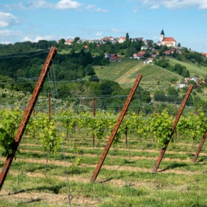 Von St. Anna aus erstreckt sich mit dem „Weinweg der Sinne“ einer der vielen Wanderwege in der Region