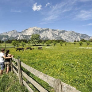 Bei allen geführten Wanderungen am Naturpark Dobratsch Rundwanderweg steht das Wandern und Erleben an erster Stelle.