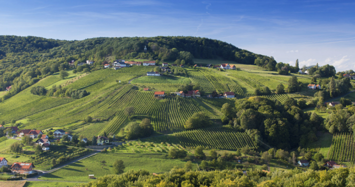 Charakteristische Landschaft im steirischen Vulkanland