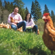 Bei Familie Pirker genießen die Hühner ein schönes Leben und liefern dafür frische Bio-Eier