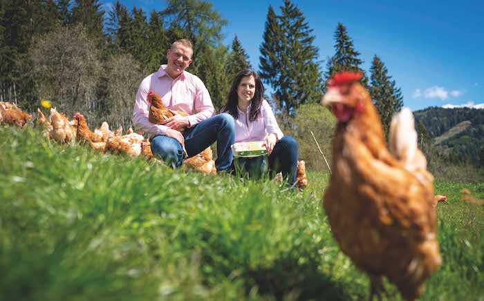 Bei Familie Pirker genießen die Hühner ein schönes Leben und liefern dafür frische Bio-Eier