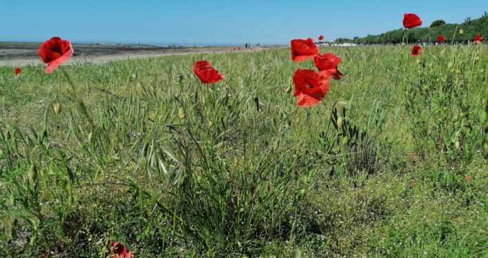 Grado ist auch im Frühjahr ein Naturjuwel. Und ein Platz zum Durchatmen.