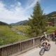 Der Drauradweg ist 510 Kilometer lang und führt vom Ursprung des Flusses Drau in Südtirol durch Osttirol, Kärnten und Slowenien bis nach Legrad in Kroatien.