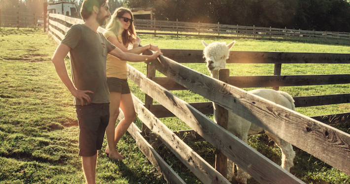 Bei Schau auf's Land geht es auch um Wertschätzung für die Tiere