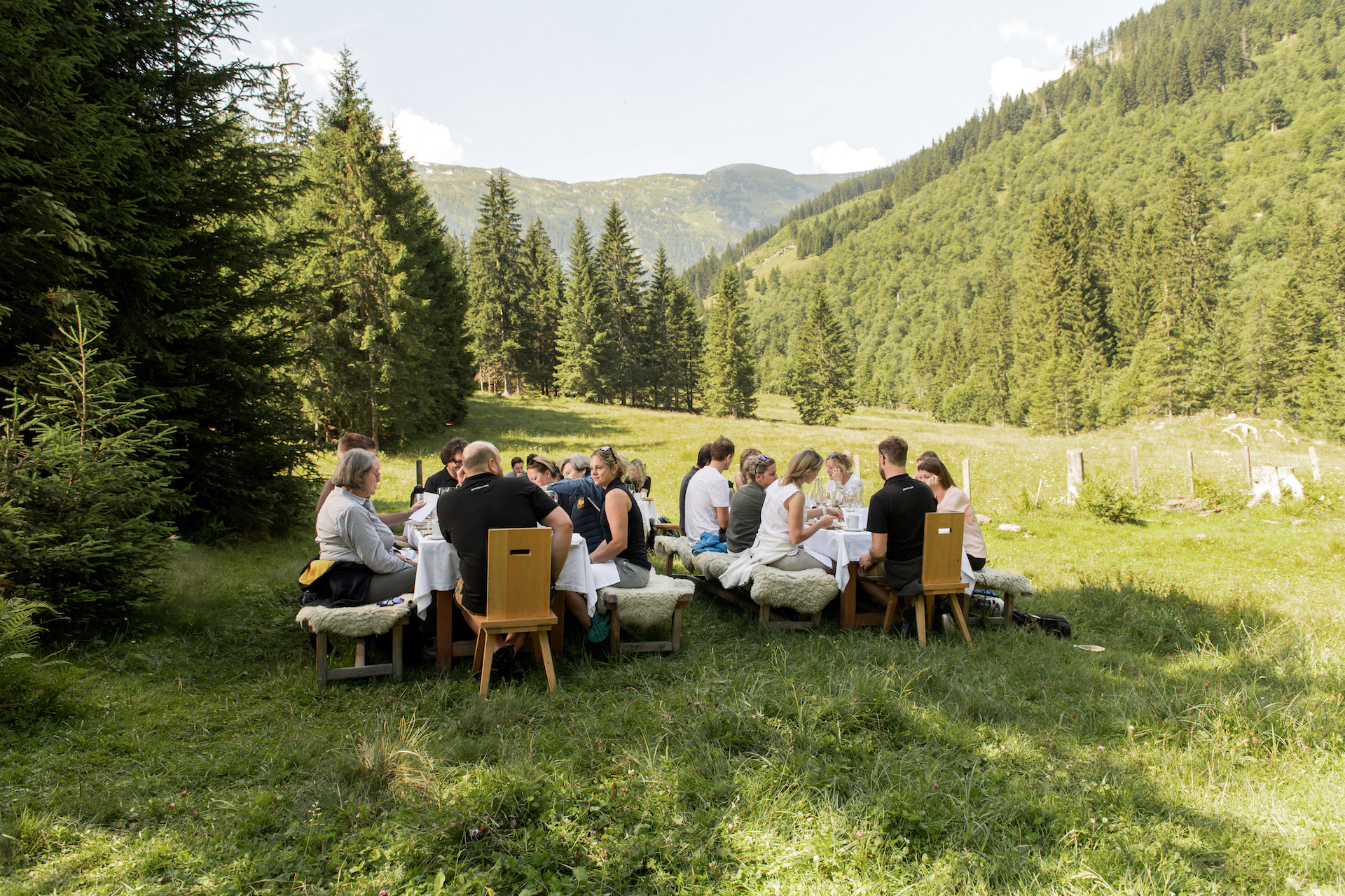 Ein kulinarisches Abenteuer zwischen den ruhigen Riesen des Waldes beim Wald:Brunch in Bad Hofgastein.