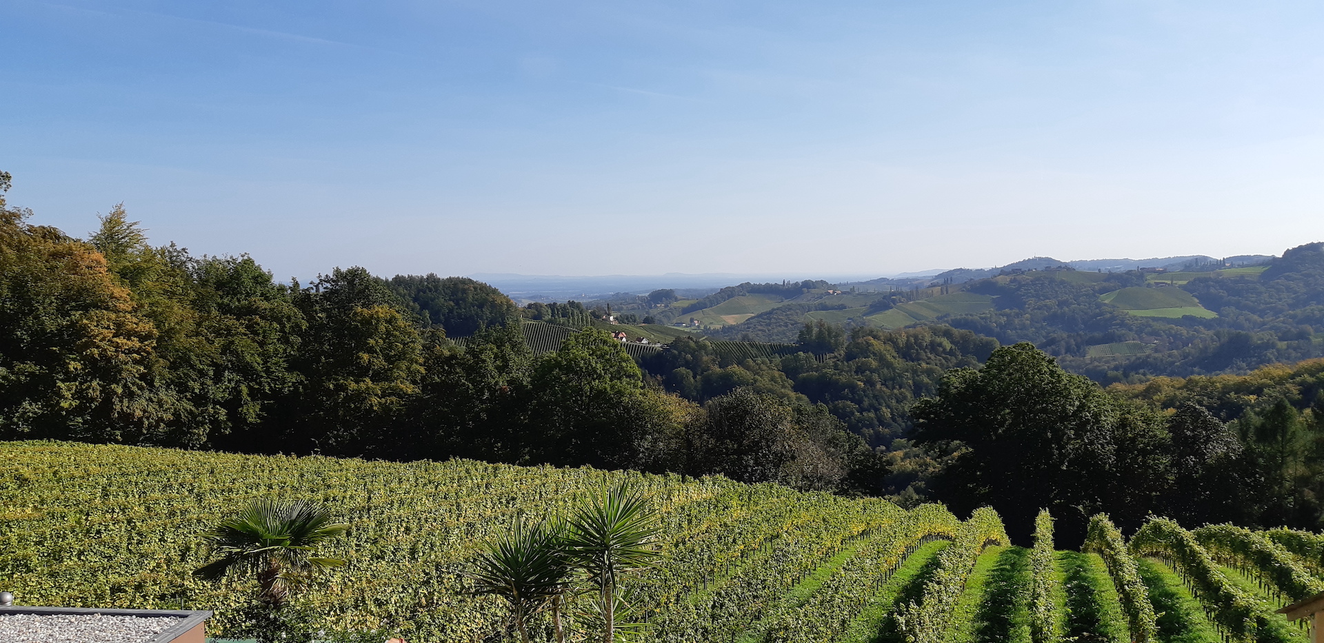 Die Weite der Landschaft an der Südsteirischen Weinstraße