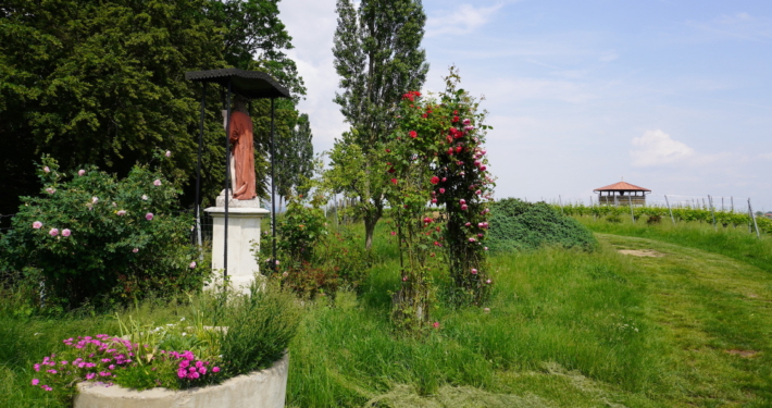 Auf dem Gamlitzer Wanderweg beim Weingut Jöbstl.