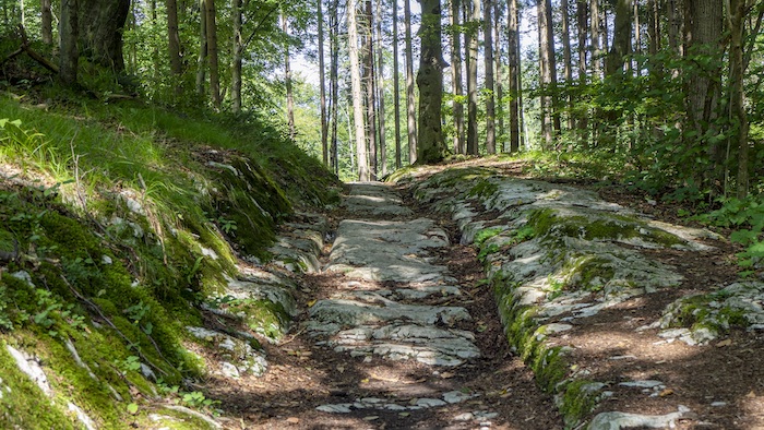 Die letzten Kilometer des Rundwanderweges wandert man entlang des alten Römerweges.