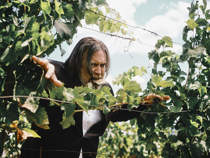 Nicholas Ofczarek als Eisenberg DAC Blaufränkisch: mineralisch, markant, fordernd