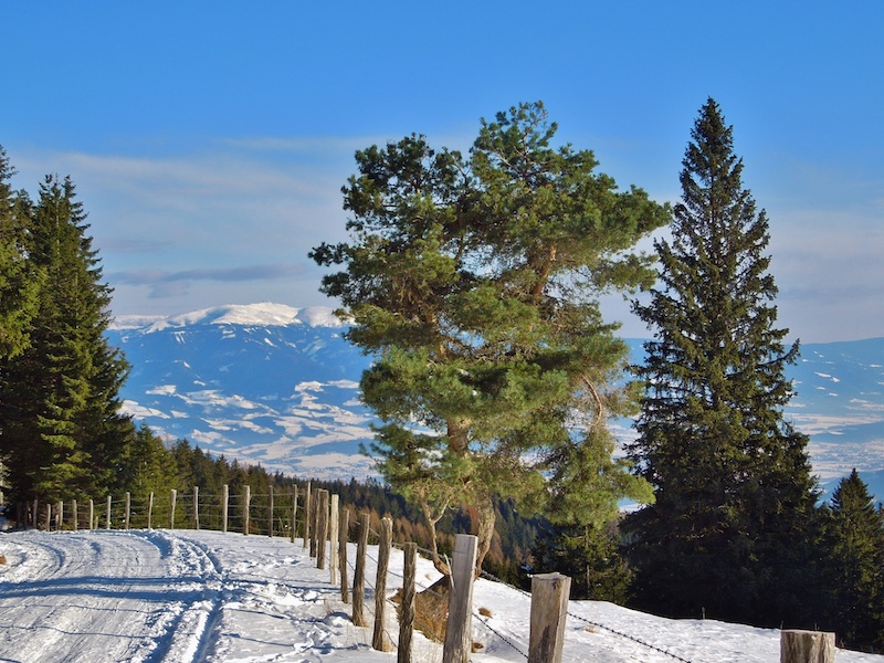 Die benachbarte Koralpe hat man bei der Wanderung auf der Saualpe stets im Blick.