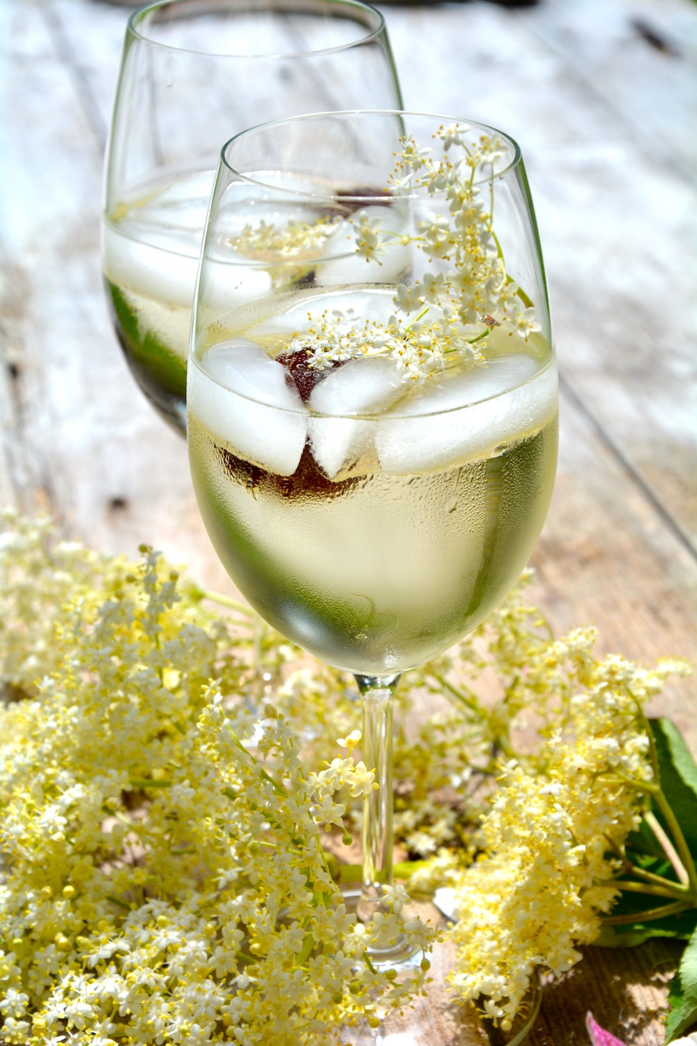 Aus den Holunderblüten lässt sich ein herrlich spritziger Sekt herstellen.