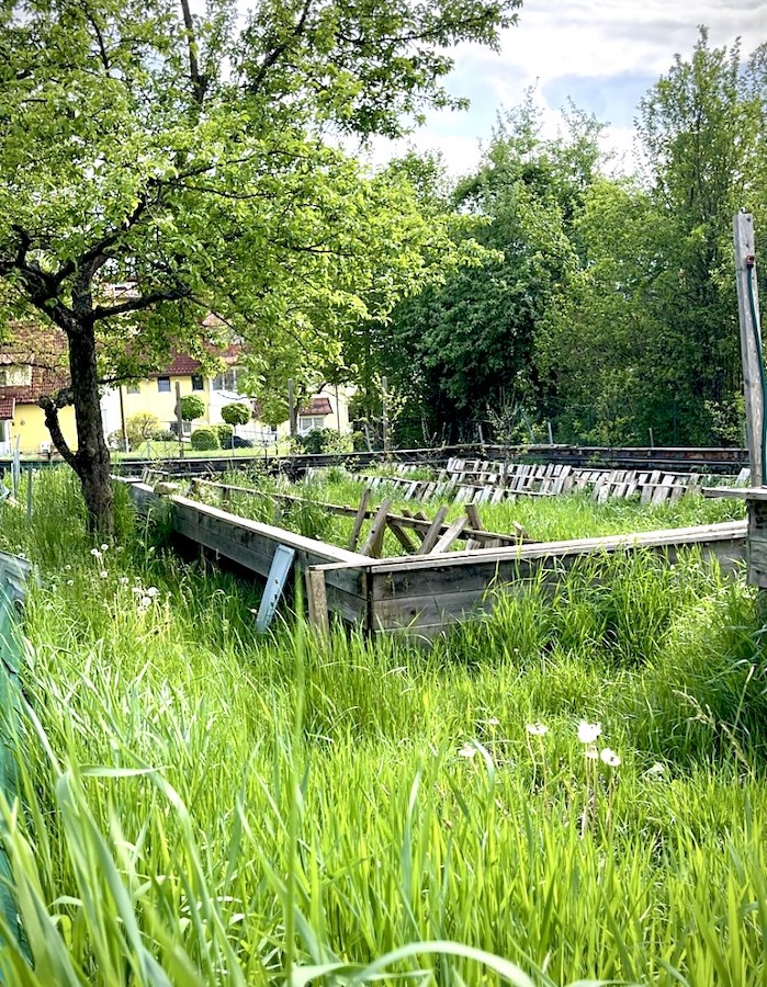 In die kleineren Beete passen rund 3.000 Schnecken, im größeren Beet leben im Laufe des Jahres bis zu 30.000 Tiere.