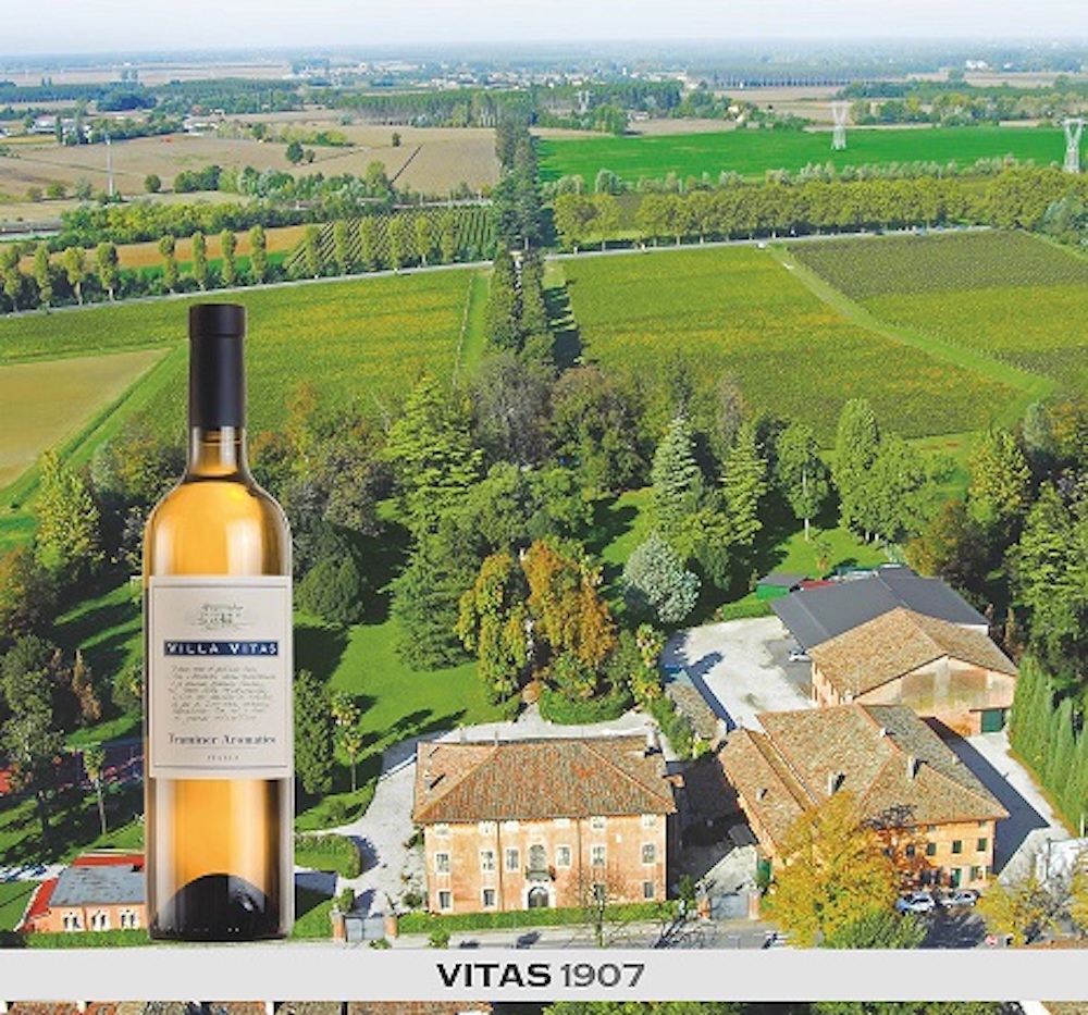 Das familiengeführte Weingut Villa Vitas