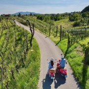 Ob allein, zu zweit oder in der Gruppe: einfach Losfahren und die traumhafte Hügellandschaft des Prosecco erleben!