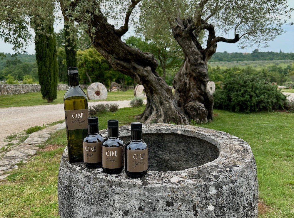 Olivenöl wird hauptsächlich aus den heimischen Sorten Buža, Bijelica, Crnica und Rožinjola hergestellt.