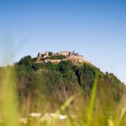 Ab 23. Juni wieder geöffnet: Burg Landskron