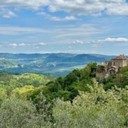 Das Hinterland von Istrien mit seinen grünen Hügeln, Weingärten und Olivenbaumhainen erinnert an die Toskana.