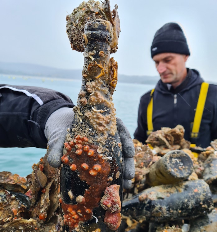 Muscheln und Korallen haben die Flaschen des „Oceanus“ bunt verziert.