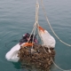 Taucher heben die Flaschen der Sonderedition aus dem Hause Črnko in der Bucht von Piran.