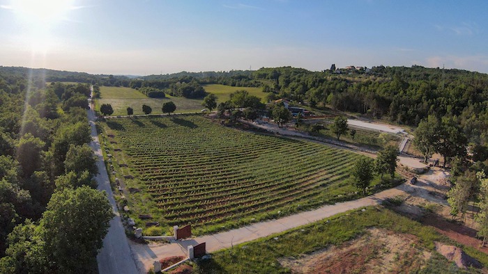 Der idyllische Gutshof liegt im Weinbaugebiet ganz im Norden des kroatischen Teils von Istrien.