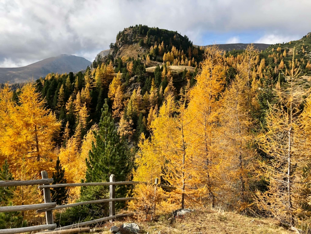 Herbstzeit ist Genusszeit im Hotel Almrausch.