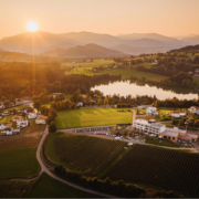 Das Wein-Hotel SchlafGUT liegt oberhalb des Maltschachersees, umgeben der Hauseigenen Weingärten.