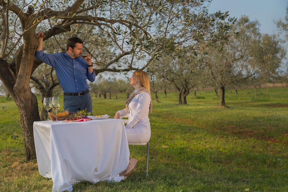 Wein und Olivenöl aus Kroatien: Flüssiges Gold für Gesundheit und Genuss