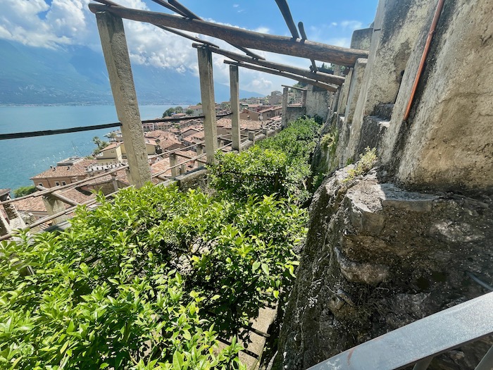 Das alte Zitronengewächshaus „Limonaia del Castel“ kann man täglich besuchen.