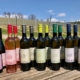 Das Sortiment umfasst derzeit sieben tolle Weine – von Zweigelt über Welschriesling bis Rosè-Frizzante.