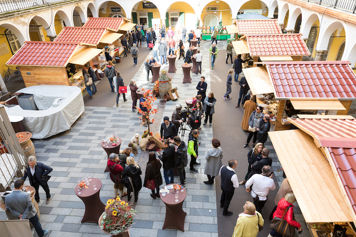 Vom 23. Oktober bis 5. November dreht sich in Graz alles um die Schwarze Knolle.