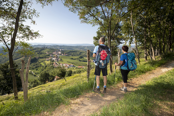 Im Herbst, wenn die warme Sonne alles in bunte Farben taucht, ist eine Wanderung durch die Weinberge besonders schön.