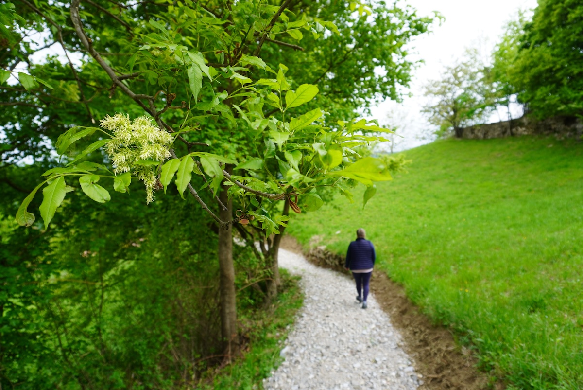 Die Täler sind von zahlreichen Wanderwegen durchzogen und der Alpe Adria Trail führt auf seiner 27. Etappe hierher.