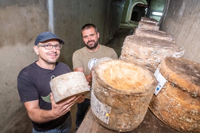 Kristijan und David lassen ihren Golden Ring Cheese tief unter der Erde reifen.