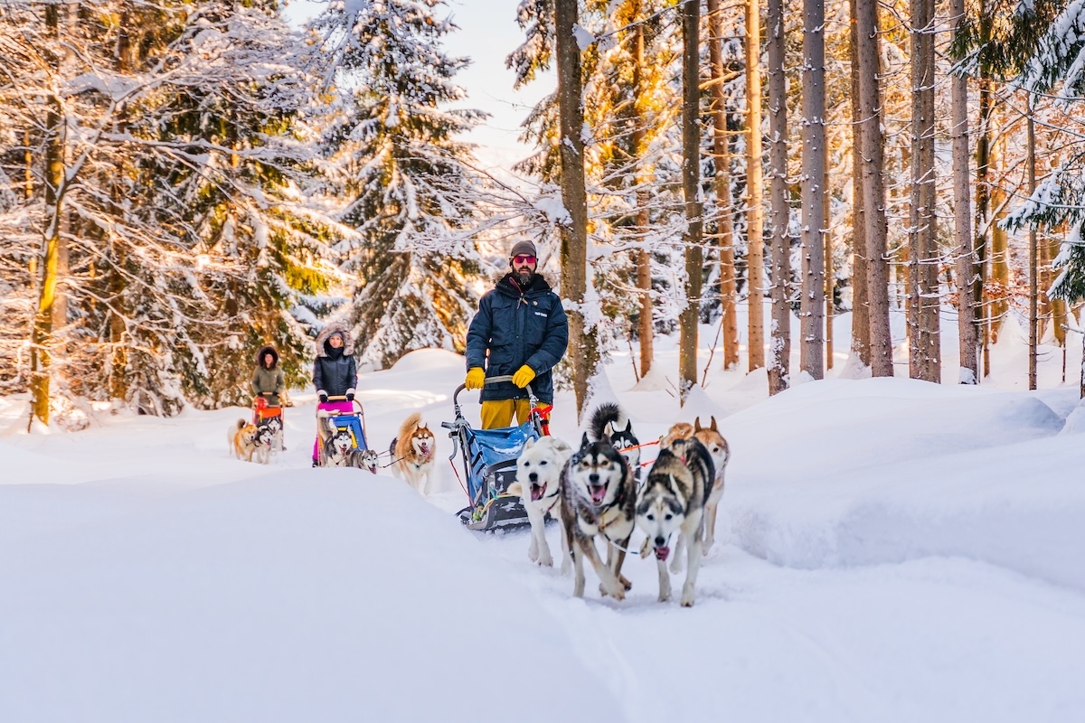 Dominik Lindebner in Aktion mit seinen Huskys