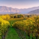 Das Weinbaugebiet Franciacorta grenzt im Norden an den Iseo See.