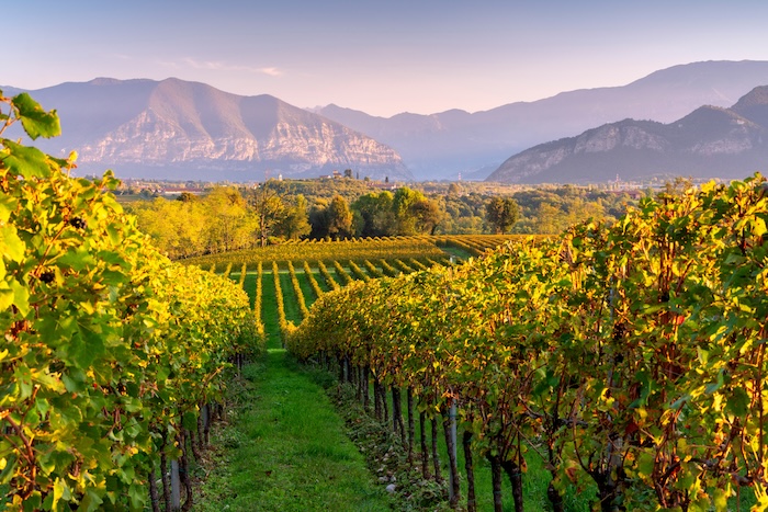 Das Weinbaugebiet Franciacorta grenzt im Norden an den Iseo See.
