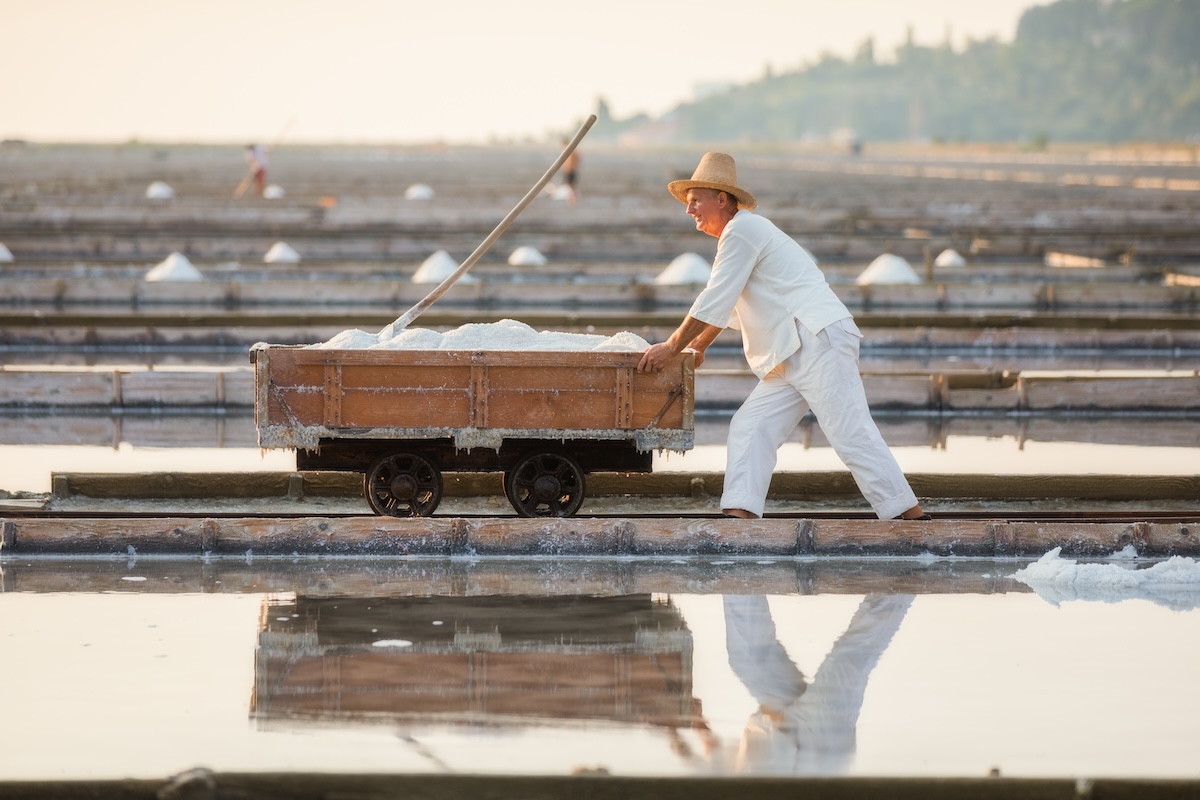 In den Salinen von Sečovlje wird das berühmte Salz von Piran gewonnen.