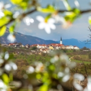 Genießen Sie das malerische Städtchen und die traumhafte Natur im Frühling.