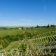 Jeruzalem liegt in der Štajerska, der Untersteiermark, einem der besten und ältesten Weinbaugebiete Sloweniens.