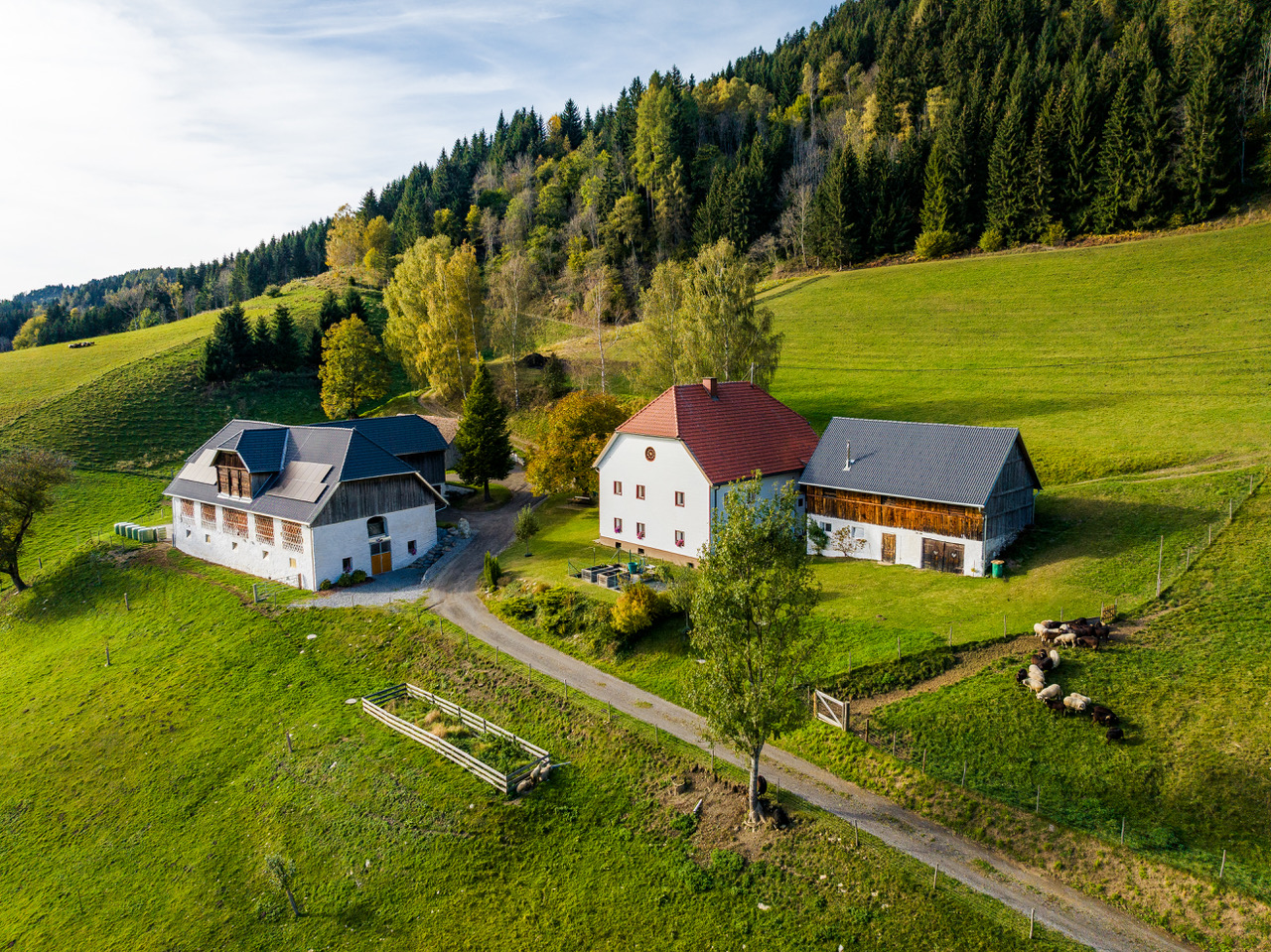 Der Steinerhof in Zeltschach