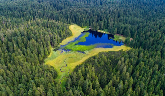 Jost Gantar Ein faszinierendes Naturwunder – der Črno jezero (Schwarzer See) am Rande des Pohorje-Gebirges.