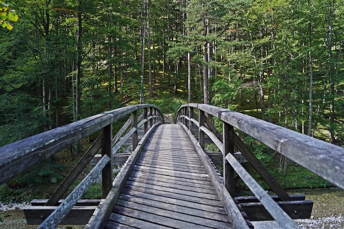 Wiener Alpen/Zeleny Der Wiener Wasserleitungsweg verläuft verläuft über einen Steig mit einigen Stiegen entlang der glasklaren Schwarza.