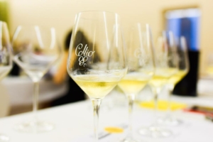 calici Collio